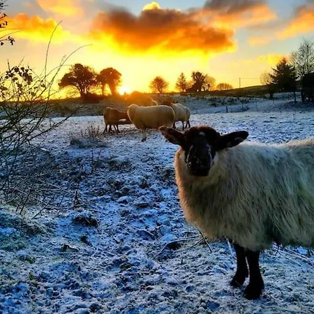 Caitriona's - Adult Only Pet Friendly - Hot Tub, Sauna, Pool - Sleeps 4