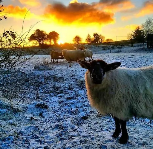 Caitriona's - Adult Only Pet Friendly - Hot Tub, Sauna, Pool - Sleeps 4